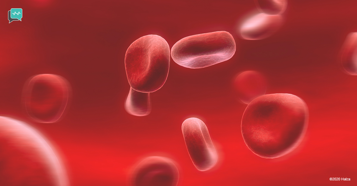 ferritin extra iron protein blood test halza digital health