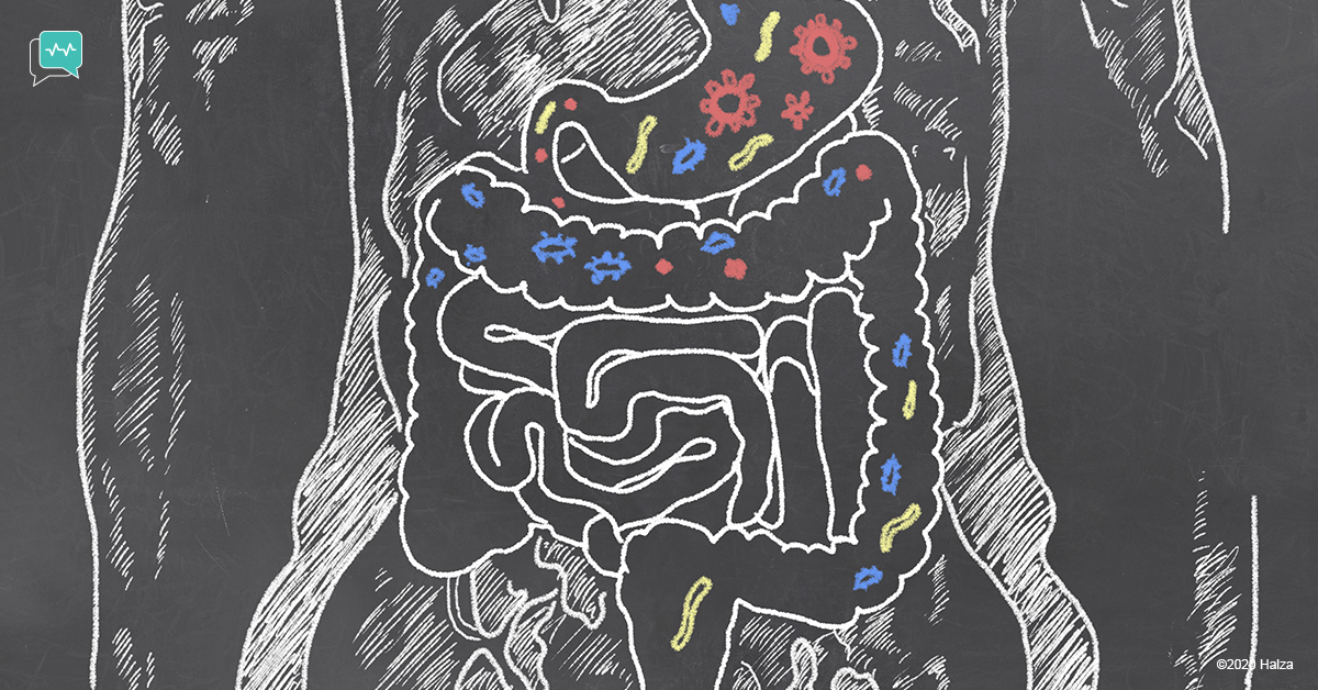 gut health fecal transplant microbiome bacteria digestive system intestines halza digital health 