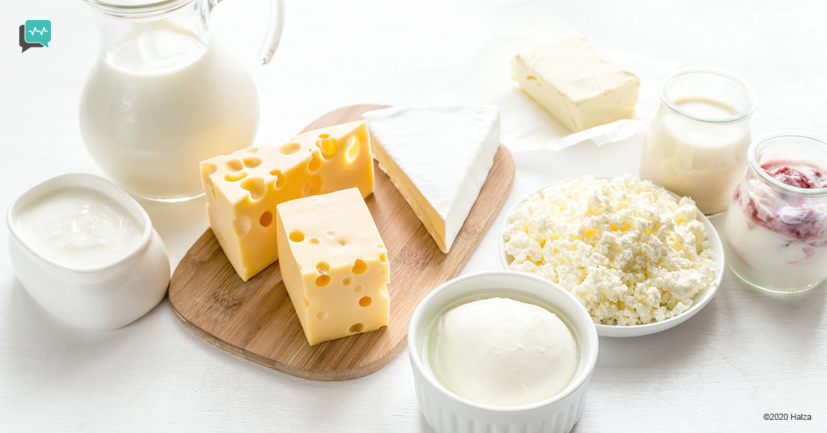 dairy milk cheese cream digestive issues halza digital health