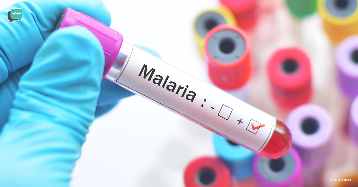 mosquito-borne diseases malaria prevention signs symptoms risk factors treatment protection halza digital health