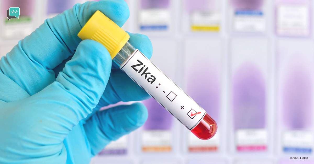 mosquito-borne diseases zika prevention signs symptoms risk factors treatment protection halza digital health