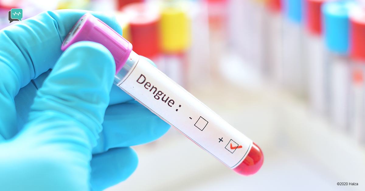 mosquito-borne diseases dengue prevention signs symptoms risk factors treatment protection halza digital health